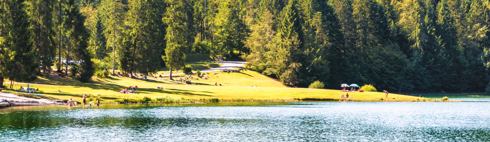 agence-novagence-lac-genin